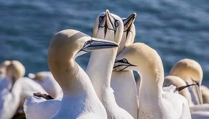 英超单场：切尔西2:0胜富勒姆 VAR介入改变比赛走向